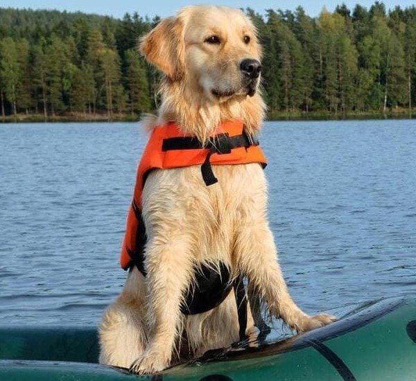 How to Find the Right Supplier in China